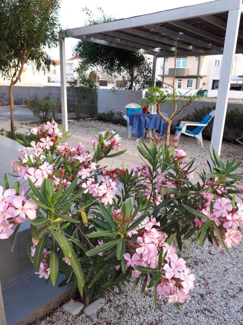 Cozy Beach House Perivolia Bagian luar foto